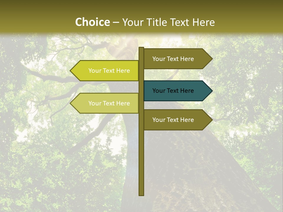 A Tree With The Sun Shining Through It PowerPoint Template