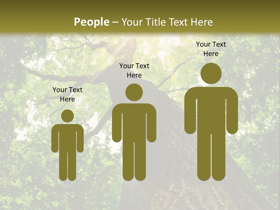 A Tree With The Sun Shining Through It PowerPoint Template