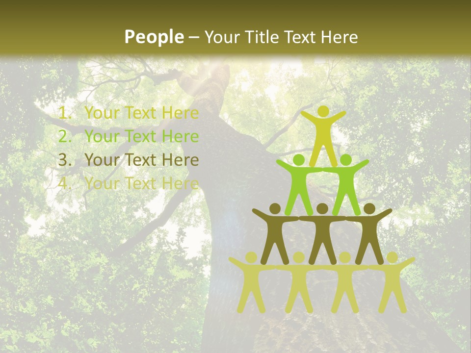 A Tree With The Sun Shining Through It PowerPoint Template