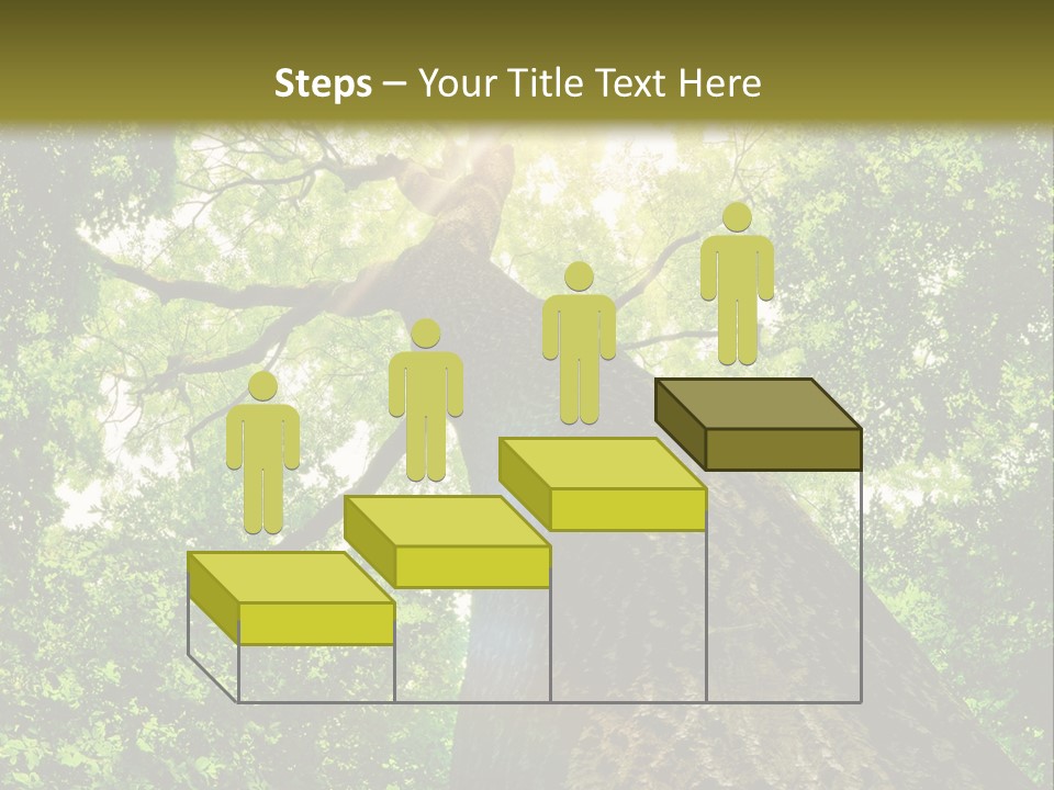 A Tree With The Sun Shining Through It PowerPoint Template