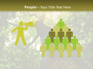 A Tree With The Sun Shining Through It PowerPoint Template