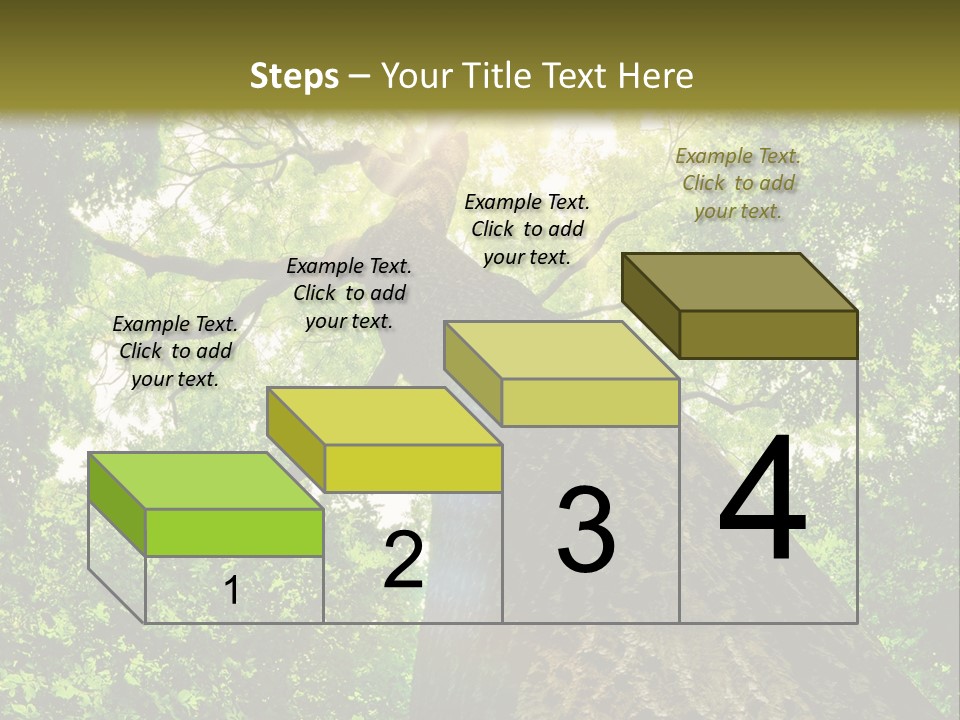 A Tree With The Sun Shining Through It PowerPoint Template