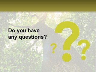 A Tree With The Sun Shining Through It PowerPoint Template