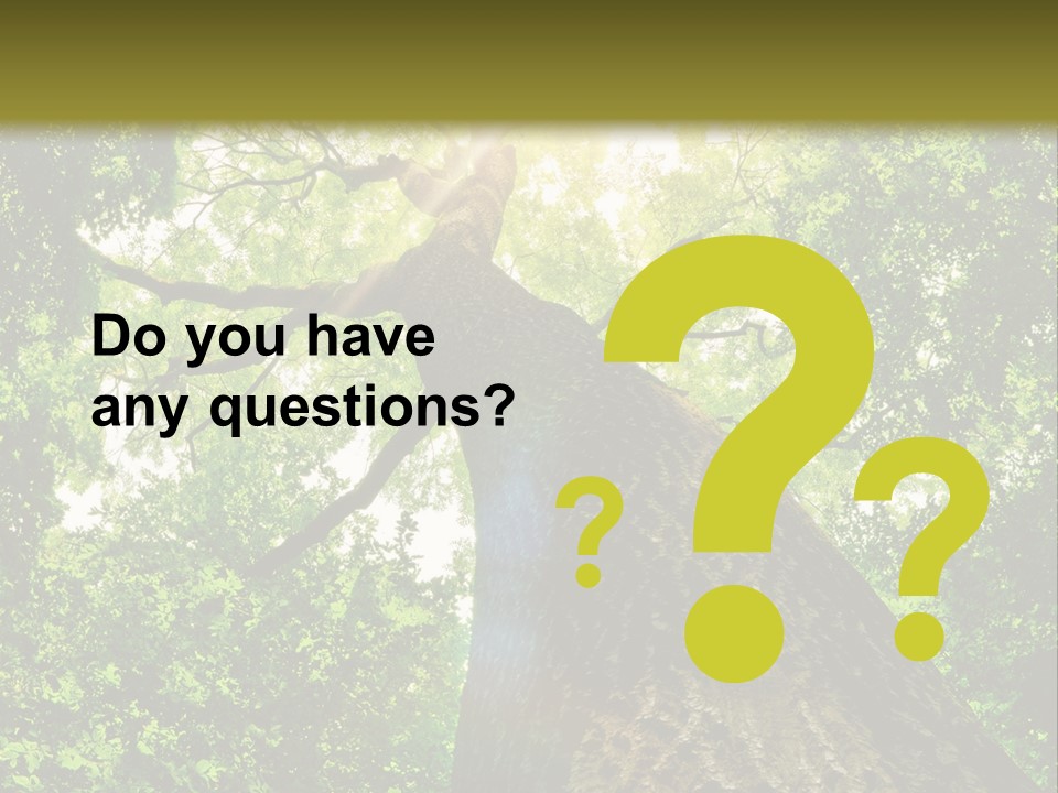 A Tree With The Sun Shining Through It PowerPoint Template