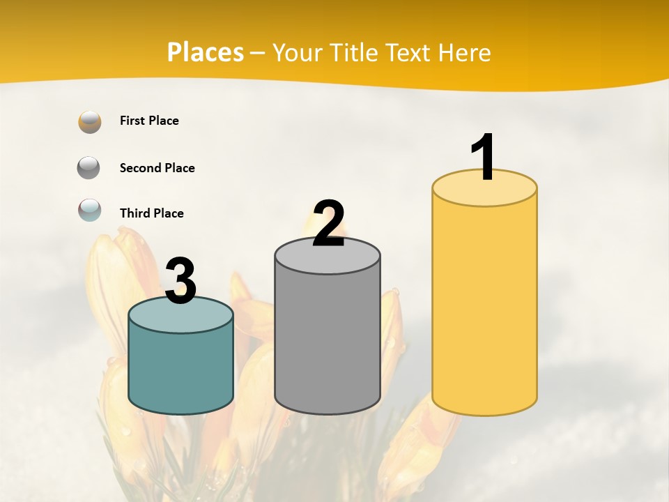 A Bunch Of Yellow Flowers In The Snow PowerPoint Template