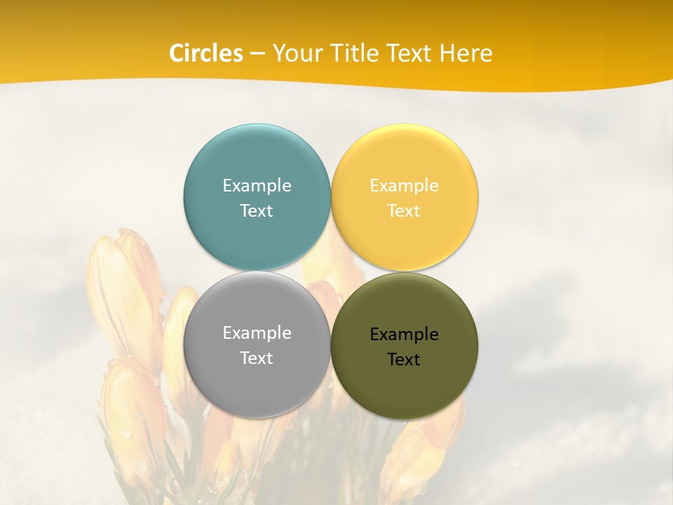 A Bunch Of Yellow Flowers In The Snow PowerPoint Template