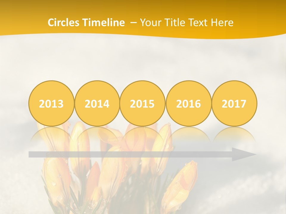 A Bunch Of Yellow Flowers In The Snow PowerPoint Template