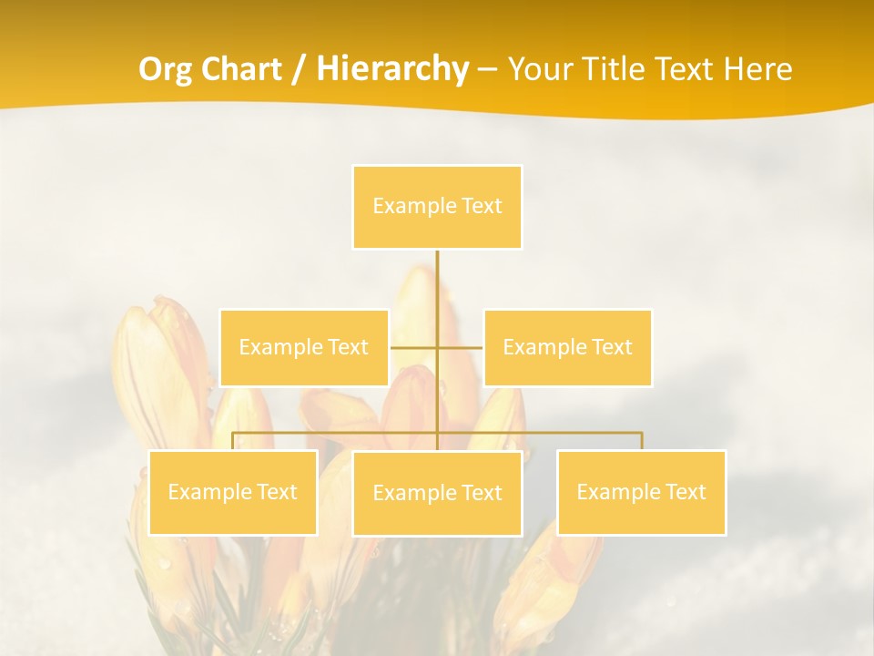 A Bunch Of Yellow Flowers In The Snow PowerPoint Template