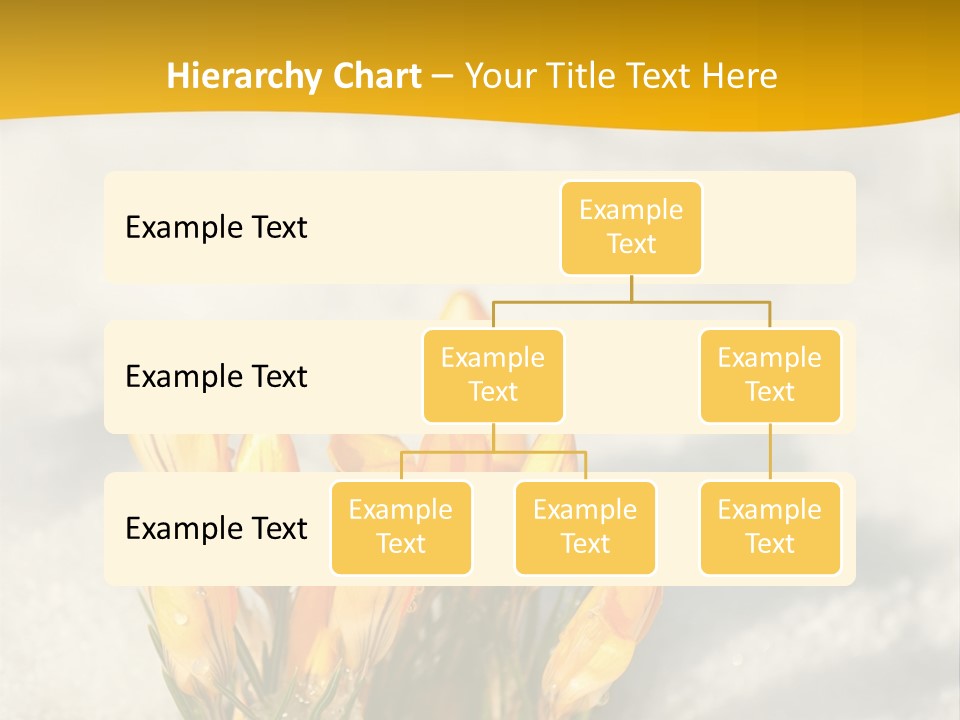 A Bunch Of Yellow Flowers In The Snow PowerPoint Template
