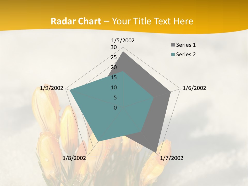 A Bunch Of Yellow Flowers In The Snow PowerPoint Template