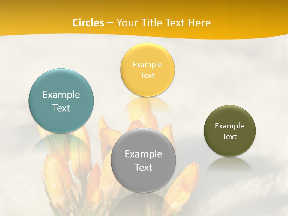 A Bunch Of Yellow Flowers In The Snow PowerPoint Template