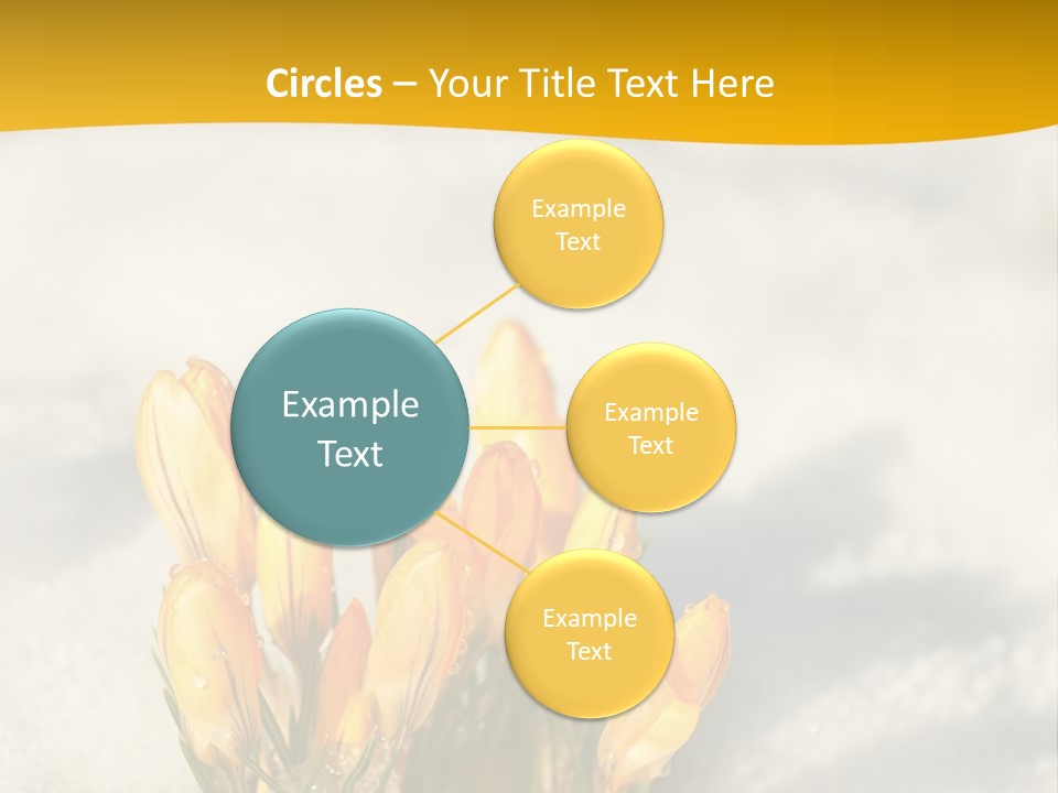 A Bunch Of Yellow Flowers In The Snow PowerPoint Template