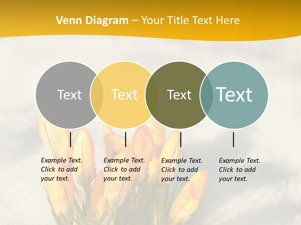 A Bunch Of Yellow Flowers In The Snow PowerPoint Template