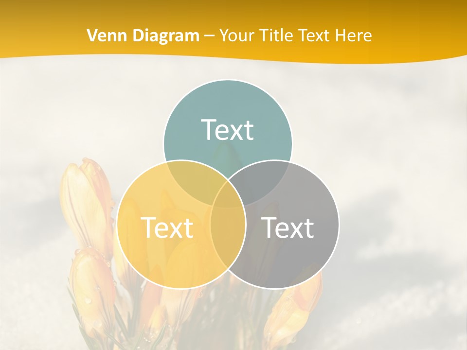 A Bunch Of Yellow Flowers In The Snow PowerPoint Template