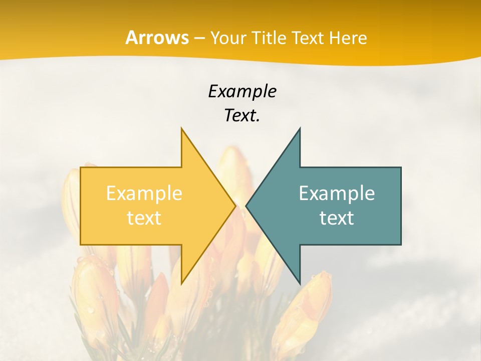 A Bunch Of Yellow Flowers In The Snow PowerPoint Template