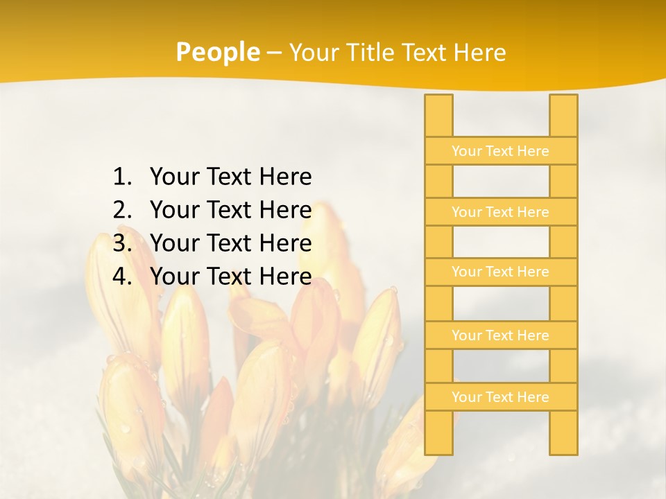 A Bunch Of Yellow Flowers In The Snow PowerPoint Template