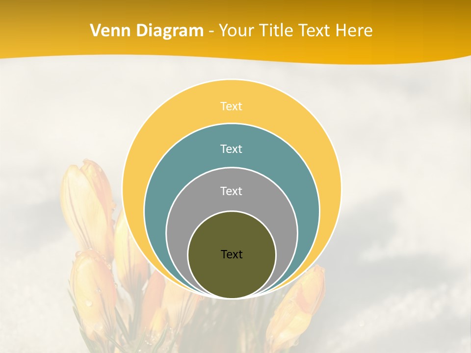 A Bunch Of Yellow Flowers In The Snow PowerPoint Template