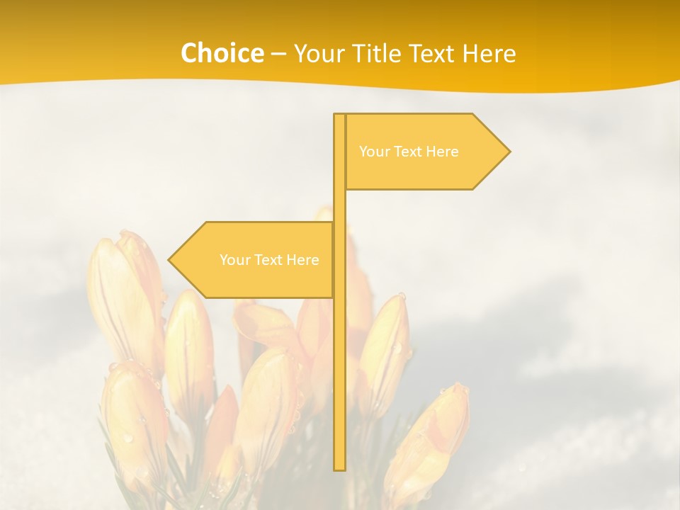 A Bunch Of Yellow Flowers In The Snow PowerPoint Template