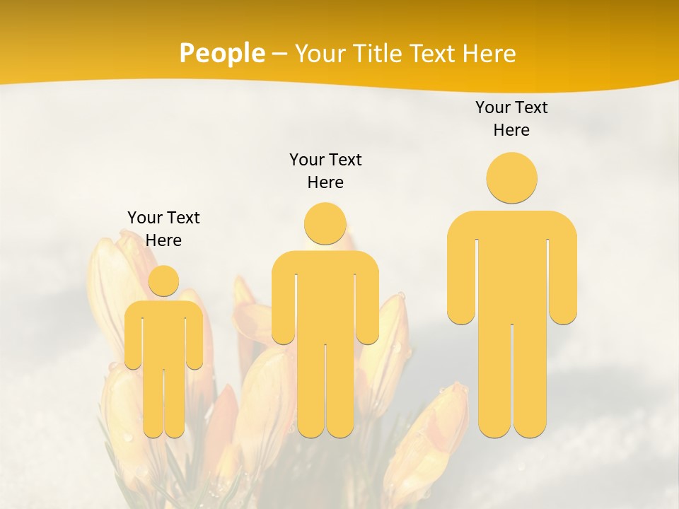 A Bunch Of Yellow Flowers In The Snow PowerPoint Template