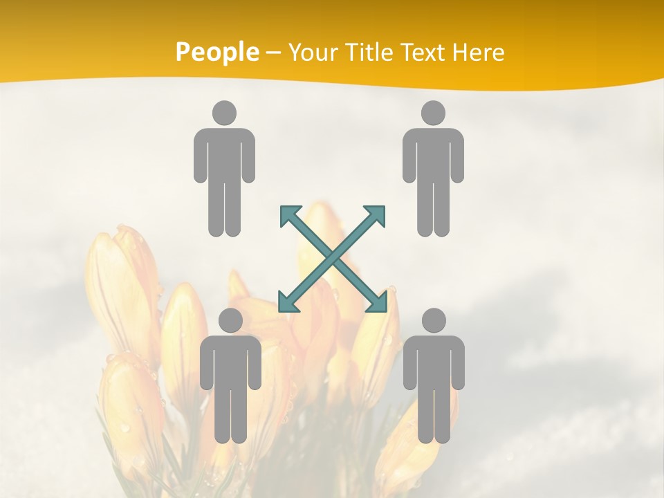 A Bunch Of Yellow Flowers In The Snow PowerPoint Template