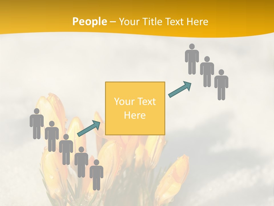 A Bunch Of Yellow Flowers In The Snow PowerPoint Template