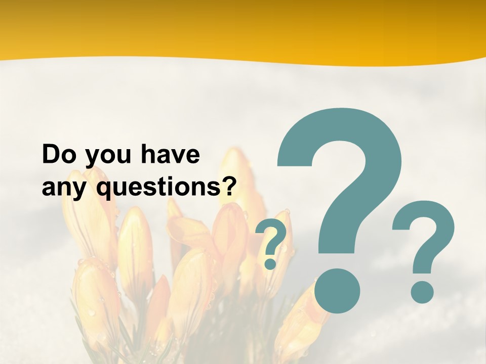 A Bunch Of Yellow Flowers In The Snow PowerPoint Template