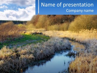 A River Running Through A Lush Green Field PowerPoint Template