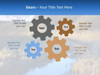 A River Running Through A Lush Green Field PowerPoint Template