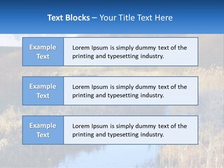 A River Running Through A Lush Green Field PowerPoint Template