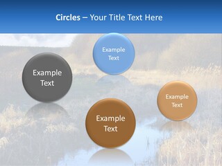 A River Running Through A Lush Green Field PowerPoint Template