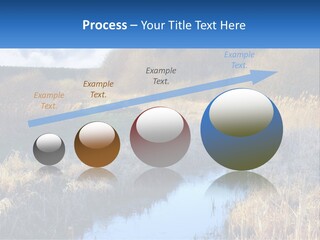 A River Running Through A Lush Green Field PowerPoint Template