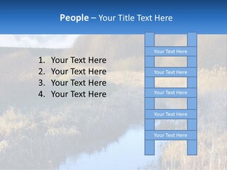 A River Running Through A Lush Green Field PowerPoint Template