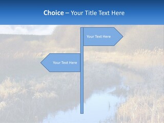 A River Running Through A Lush Green Field PowerPoint Template