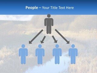 A River Running Through A Lush Green Field PowerPoint Template