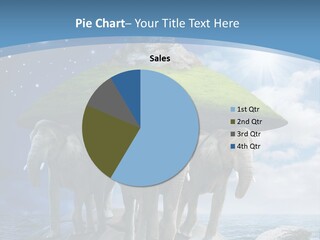 A Group Of Elephants Standing On Top Of A Turtle PowerPoint Template