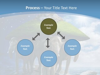 A Group Of Elephants Standing On Top Of A Turtle PowerPoint Template