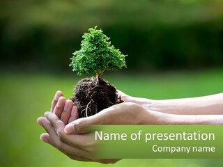 A Person Holding A Small Tree In Their Hands PowerPoint Template