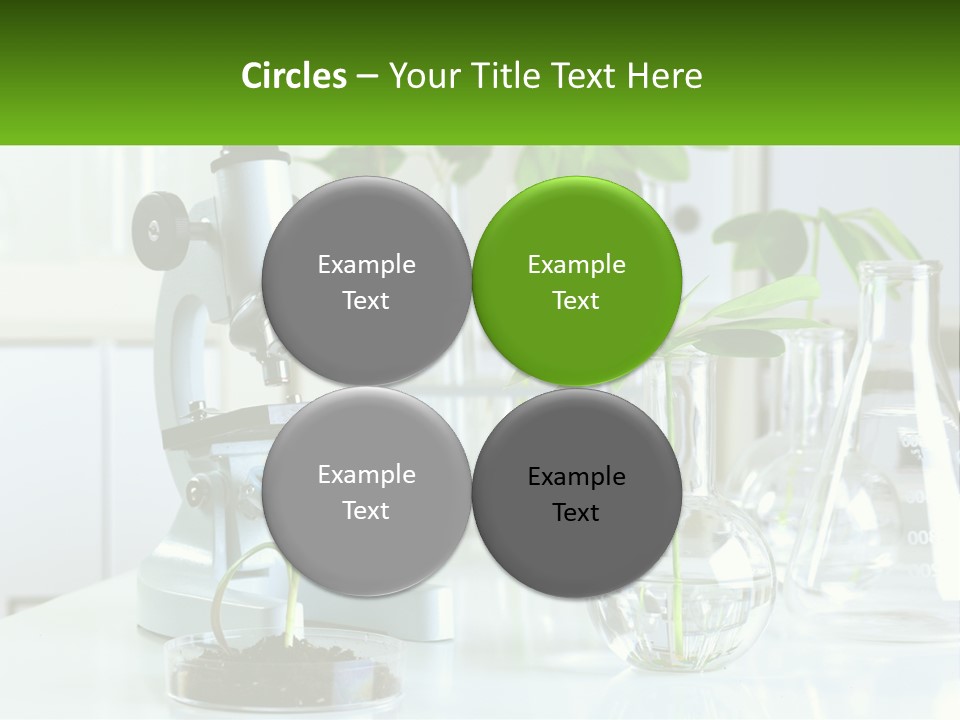 A Microscope And Some Plants On A Table PowerPoint Template