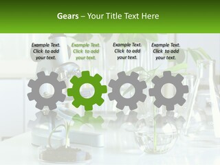 A Microscope And Some Plants On A Table PowerPoint Template