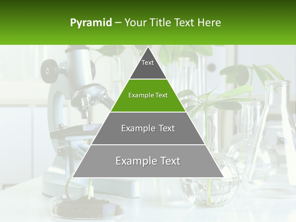 A Microscope And Some Plants On A Table PowerPoint Template