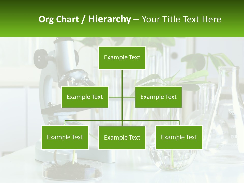 A Microscope And Some Plants On A Table PowerPoint Template