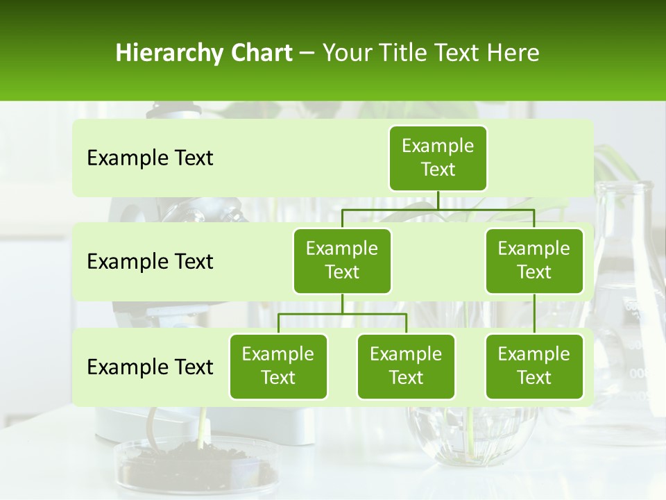 A Microscope And Some Plants On A Table PowerPoint Template