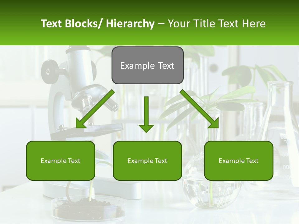 A Microscope And Some Plants On A Table PowerPoint Template