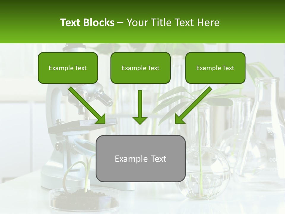A Microscope And Some Plants On A Table PowerPoint Template