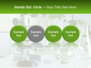 A Microscope And Some Plants On A Table PowerPoint Template