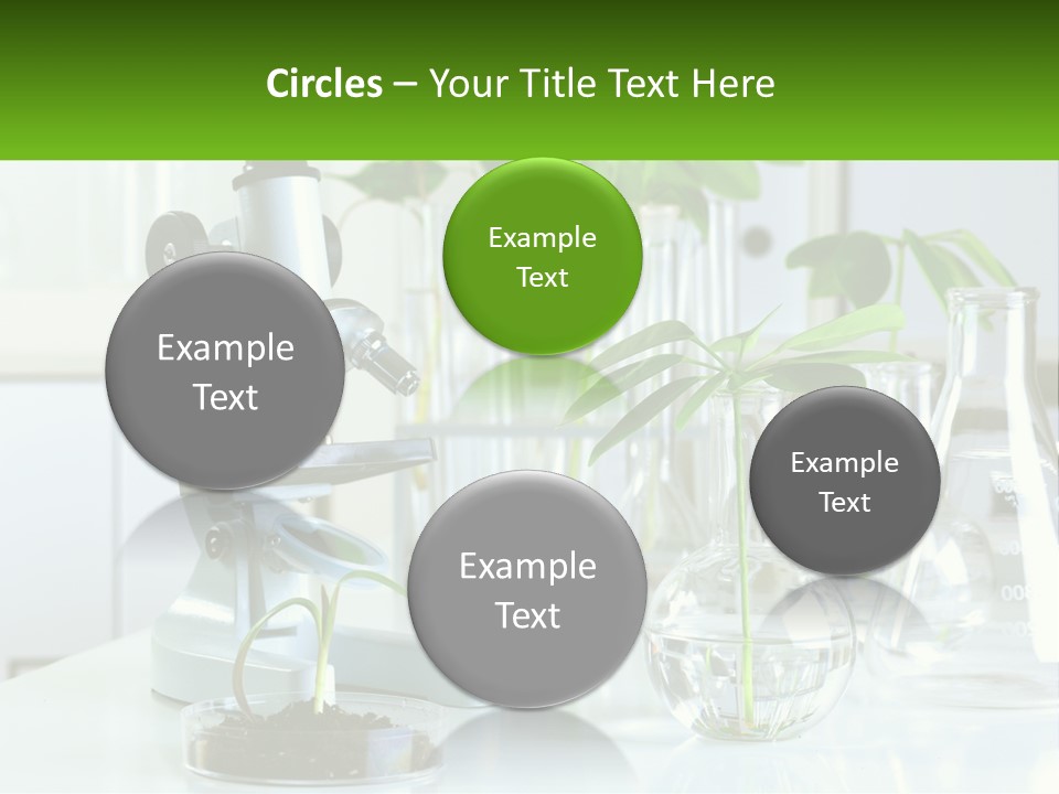 A Microscope And Some Plants On A Table PowerPoint Template