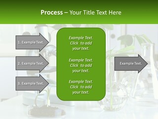 A Microscope And Some Plants On A Table PowerPoint Template