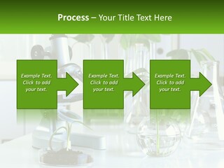 A Microscope And Some Plants On A Table PowerPoint Template