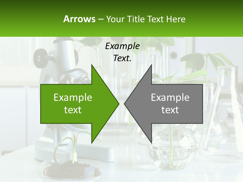 A Microscope And Some Plants On A Table PowerPoint Template