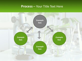A Microscope And Some Plants On A Table PowerPoint Template